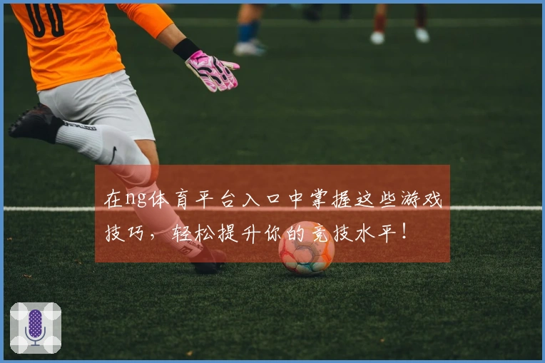 在ng体育平台入口中掌握这些游戏技巧，轻松提升你的竞技水平！