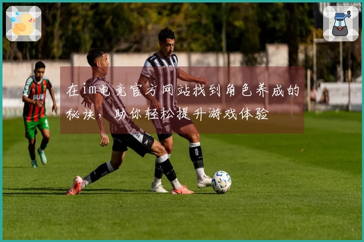 在im电竞官方网站找到角色养成的秘诀，助你轻松提升游戏体验